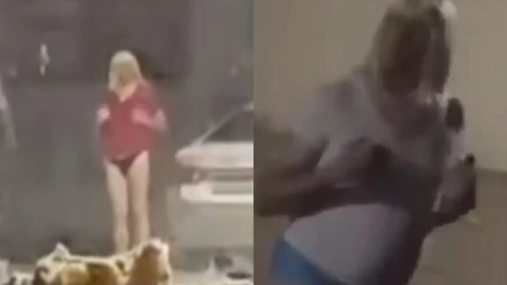 Colagem de fotos do pastor de calcinha