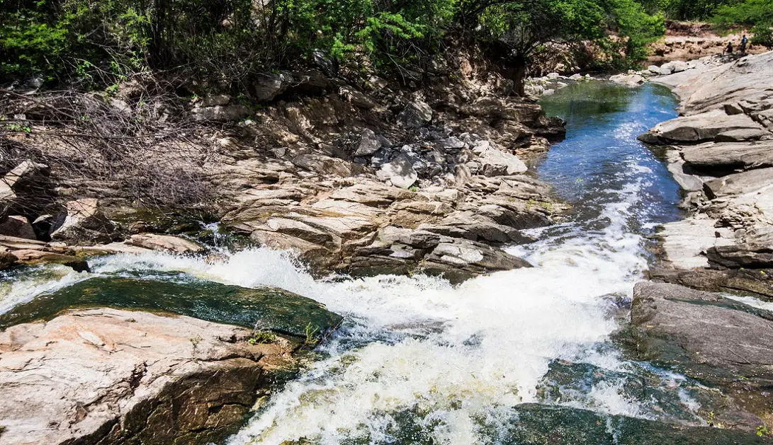 Foto de água correndo em leito pedregoso, com algumas árvores nas margens