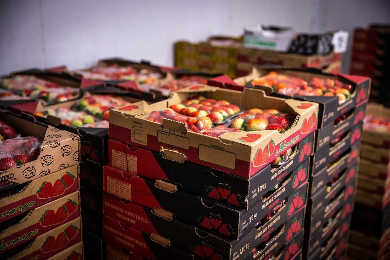 Imagem de caixas de morango