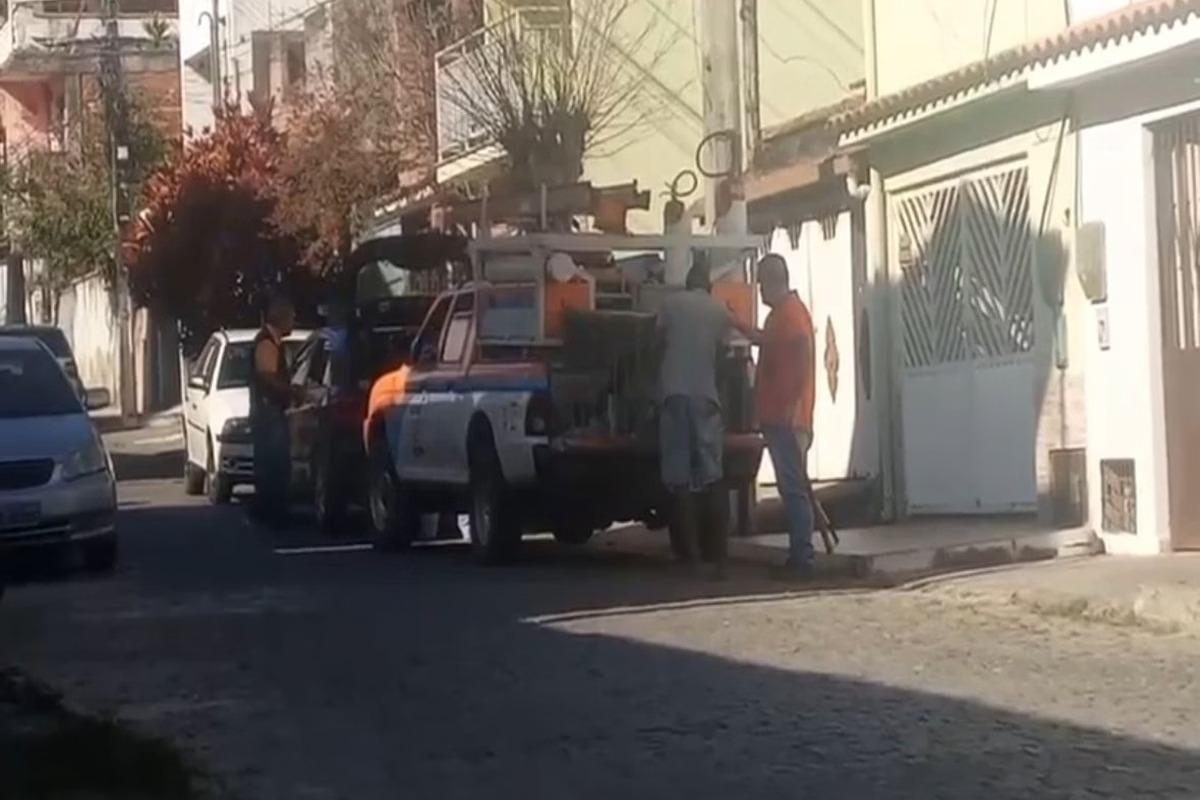 Funcionários da Defesa Civil do RJ são presos por sedar e abandonar cães