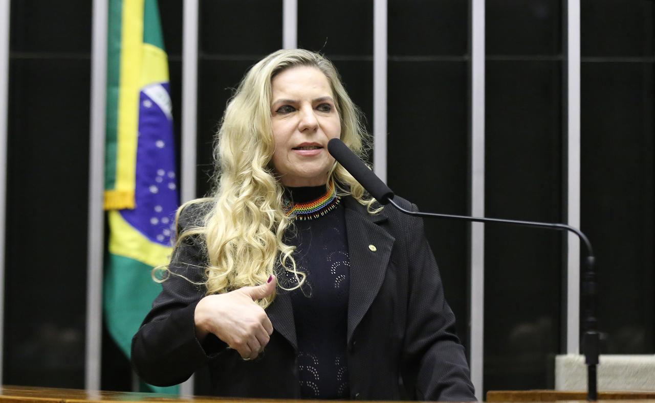 Foto mostra Luizianne Lins na Câmara dos Deputados