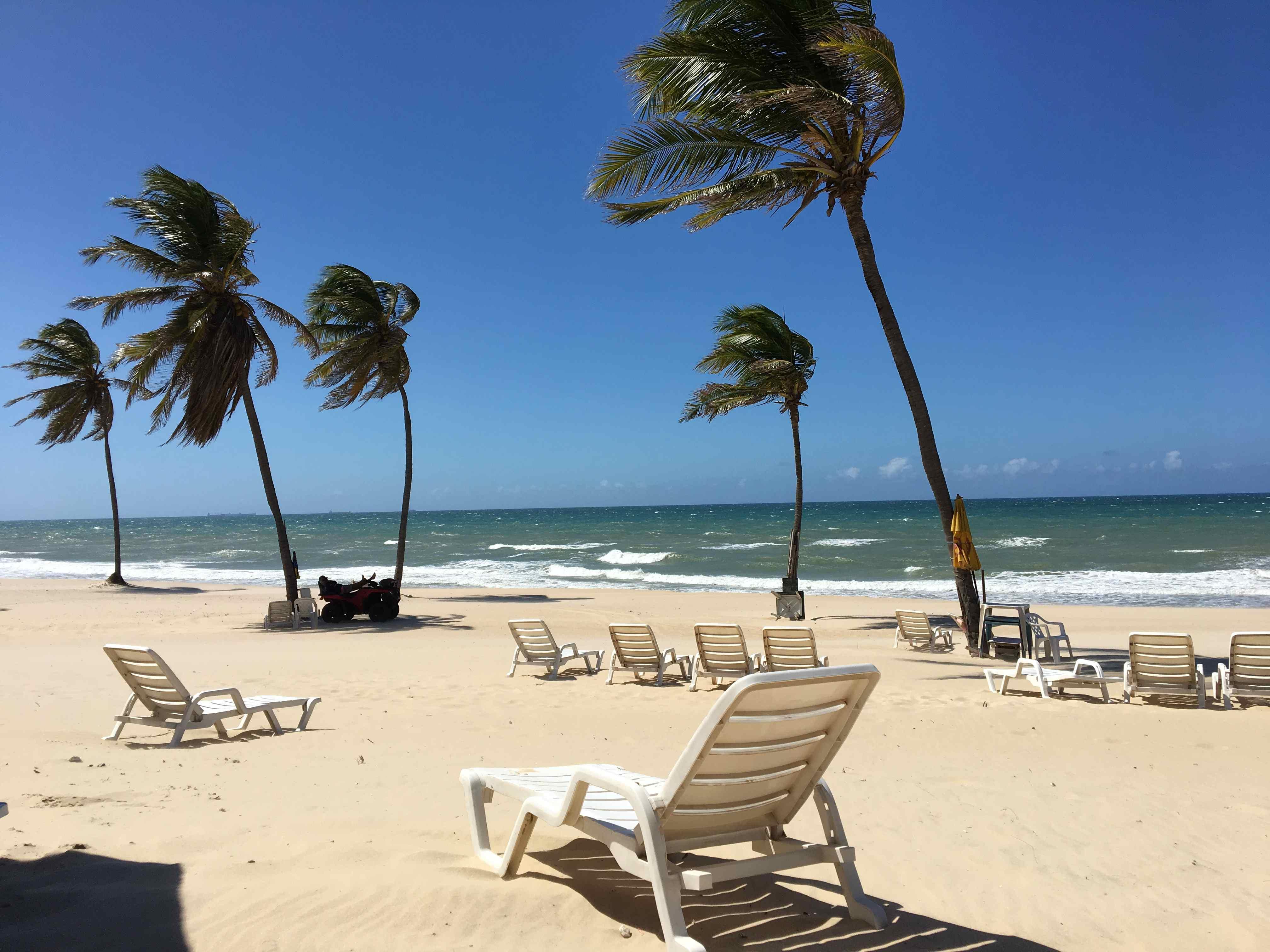 Uma vista da praia em um dia ensolarado com cadeiras de praia brancas vazias na areia e palmeiras altas balançando ao vento. O oceano azul-esverdeado tem pequenas ondas e o céu está claro e azul.