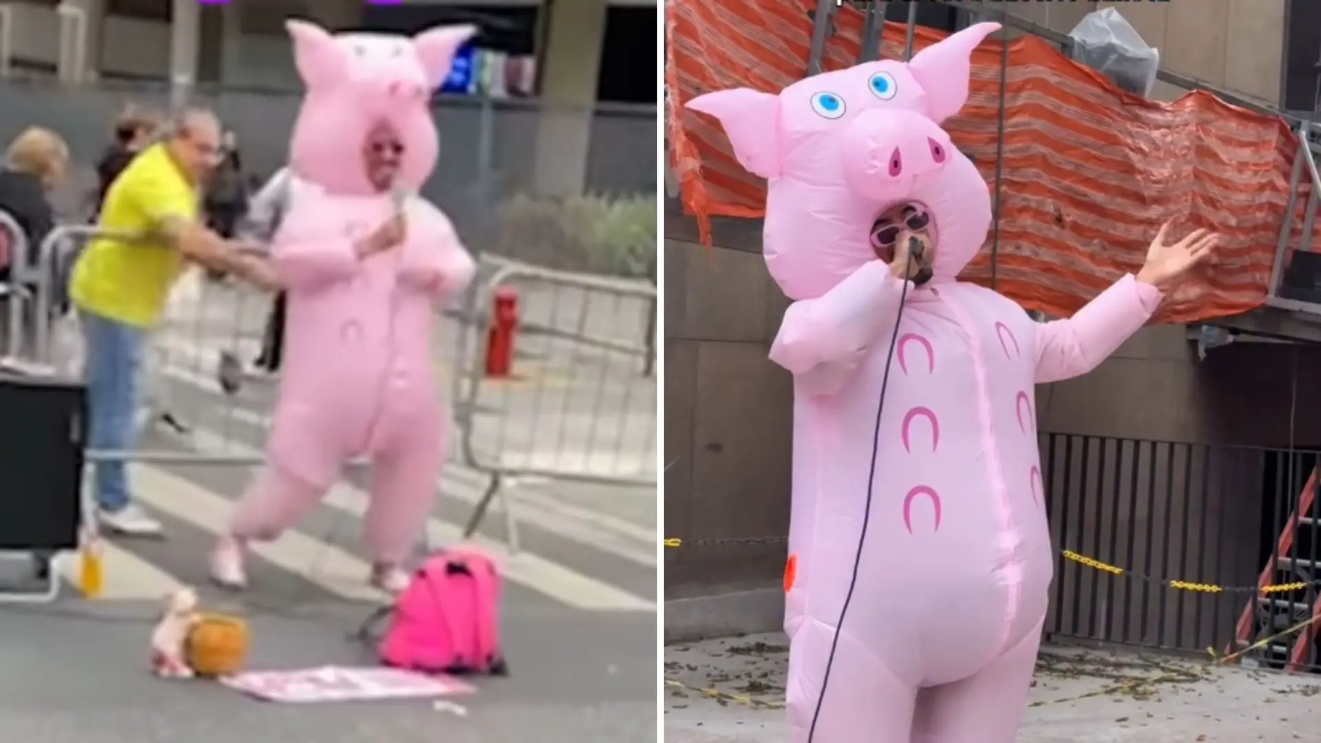 Foto do Porquinho da Paulista que foi atacado com uma garfo na Avenida Paulista