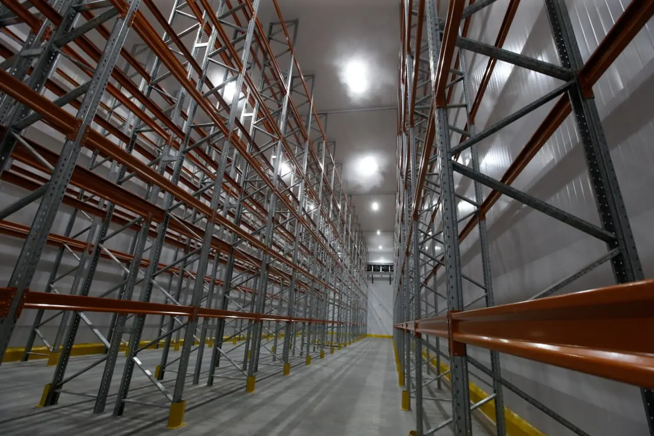 Foto que contém prateleiras altas no terminal de cargas frias da Fratch Log