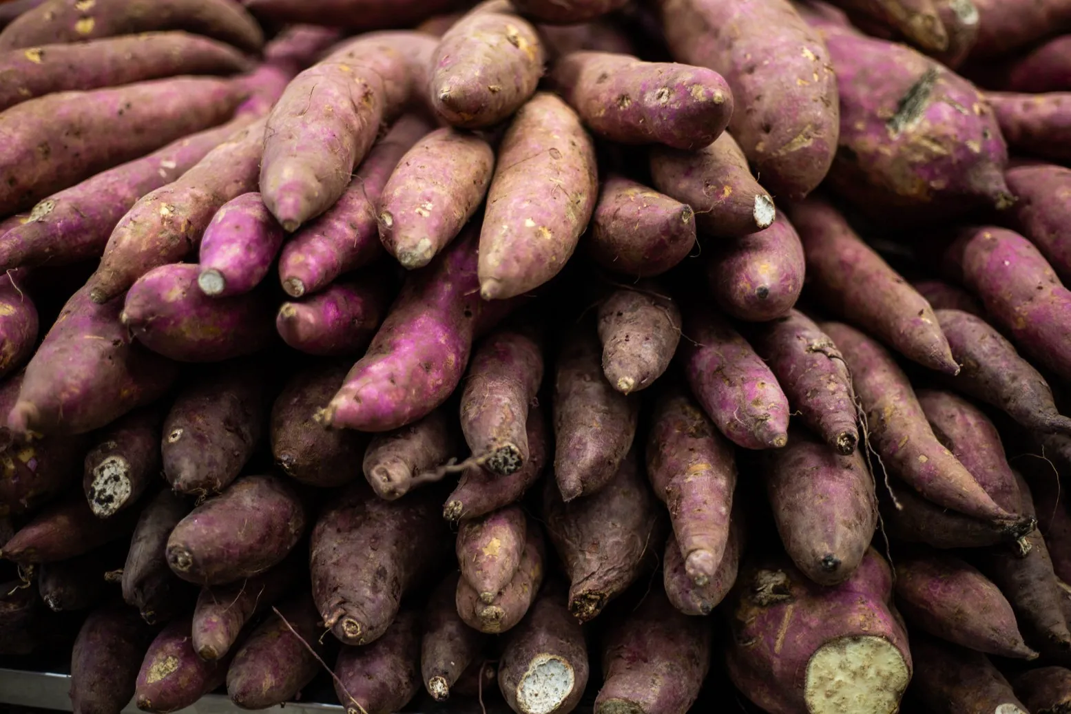 Batata-doce é um dos principais produtos produzidos pelo Ceará