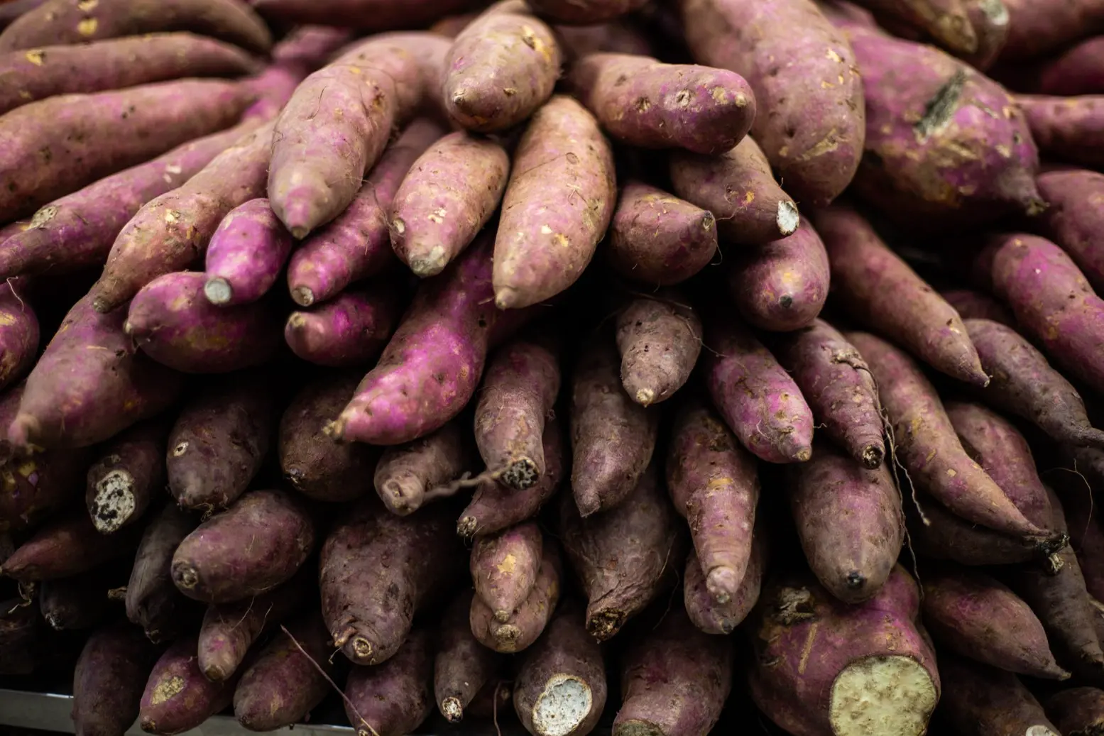Foto que contém várias batatas-doce à venda em Fortaleza