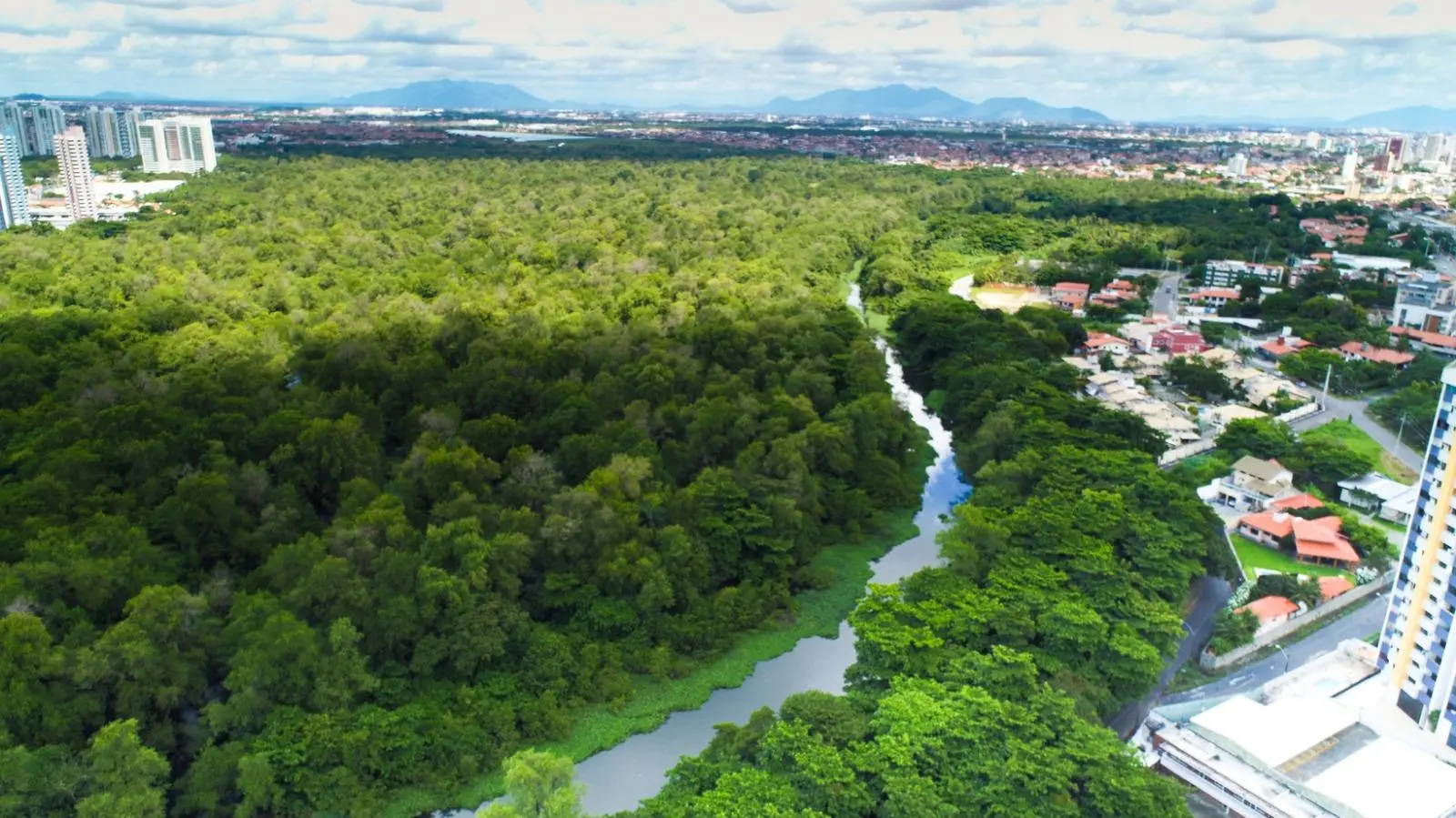 Imagem aérea mostra imensidão verde do Parque do Cocó, cortada pelo Rio de mesmo nome. Ao redor, aparecem alguns prédios.