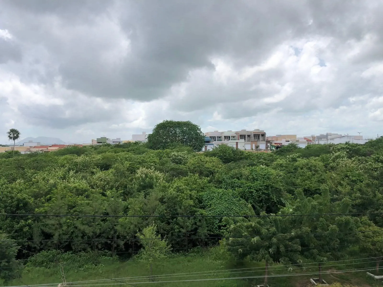 Bióloga aponta em manifestação que espaço natural tem importância para o ecossistema local