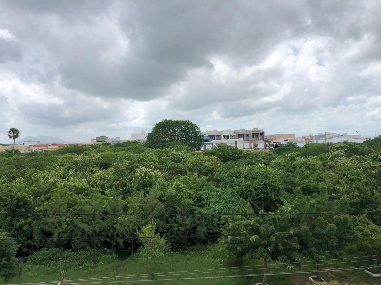 Área verde extensa na cidade de Sobral. Ao fundo, há alguns prédios e construções e céu nublado