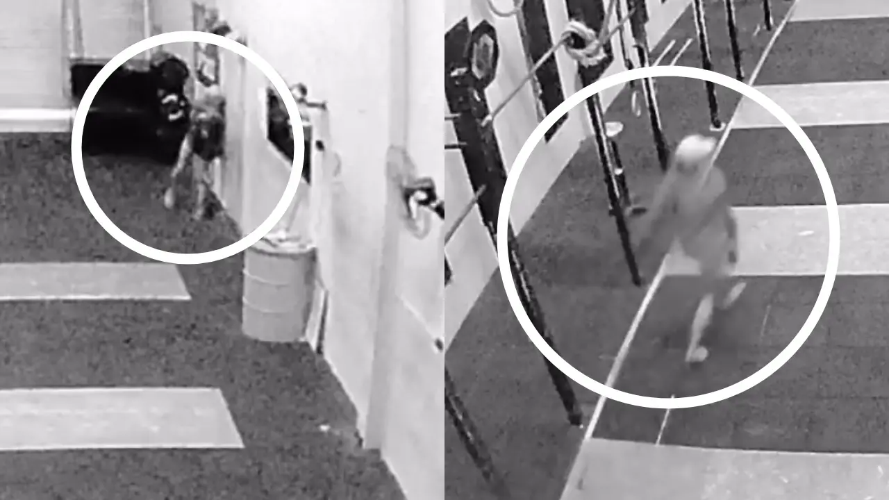 Câmera de segurança registrou momento em que local é furtado