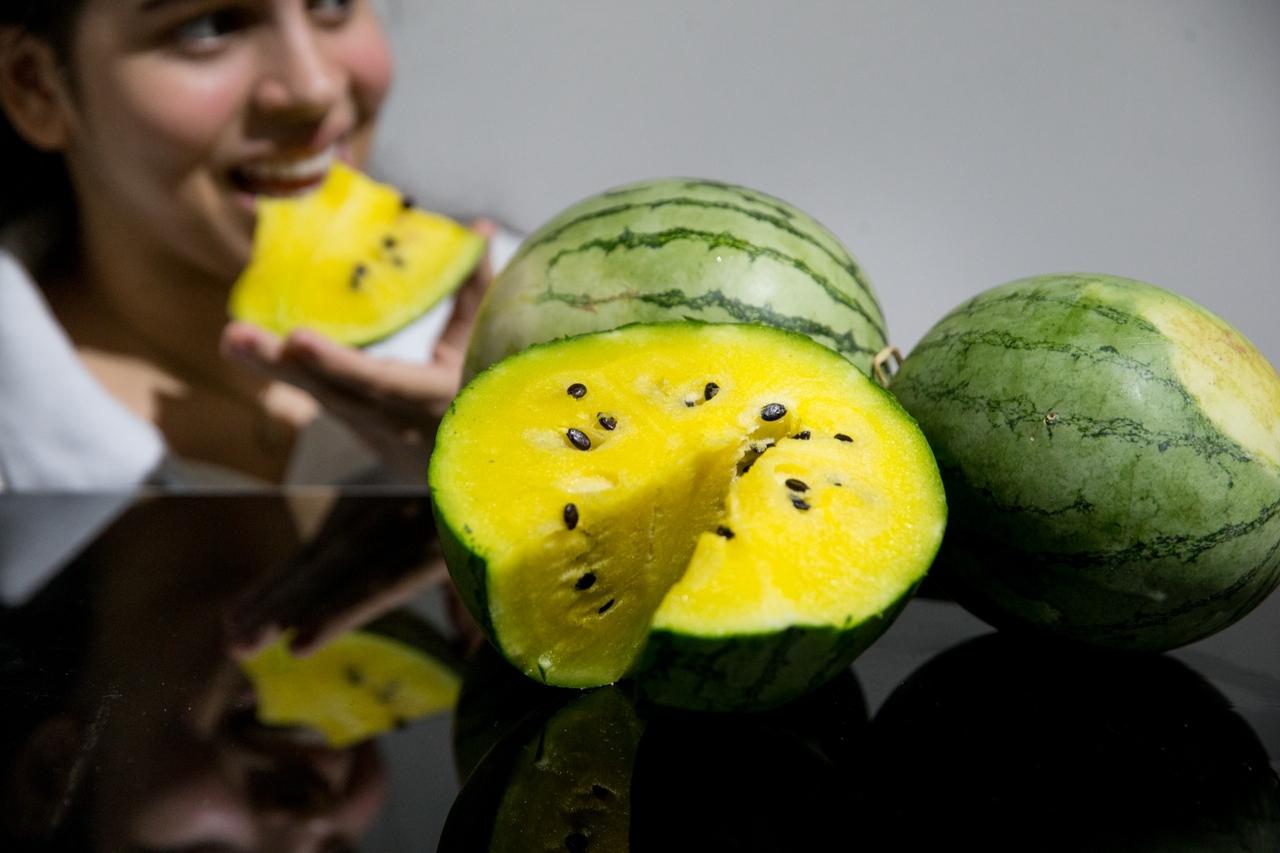 Pessoa comendo melancia amarela ao fundo com fruta em primeiro plano
