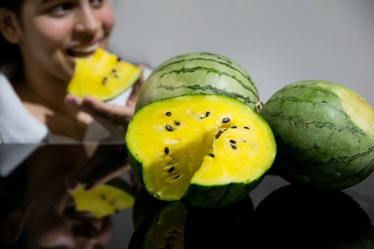 Pessoa comendo melancia amarela ao fundo com fruta em primeiro plano