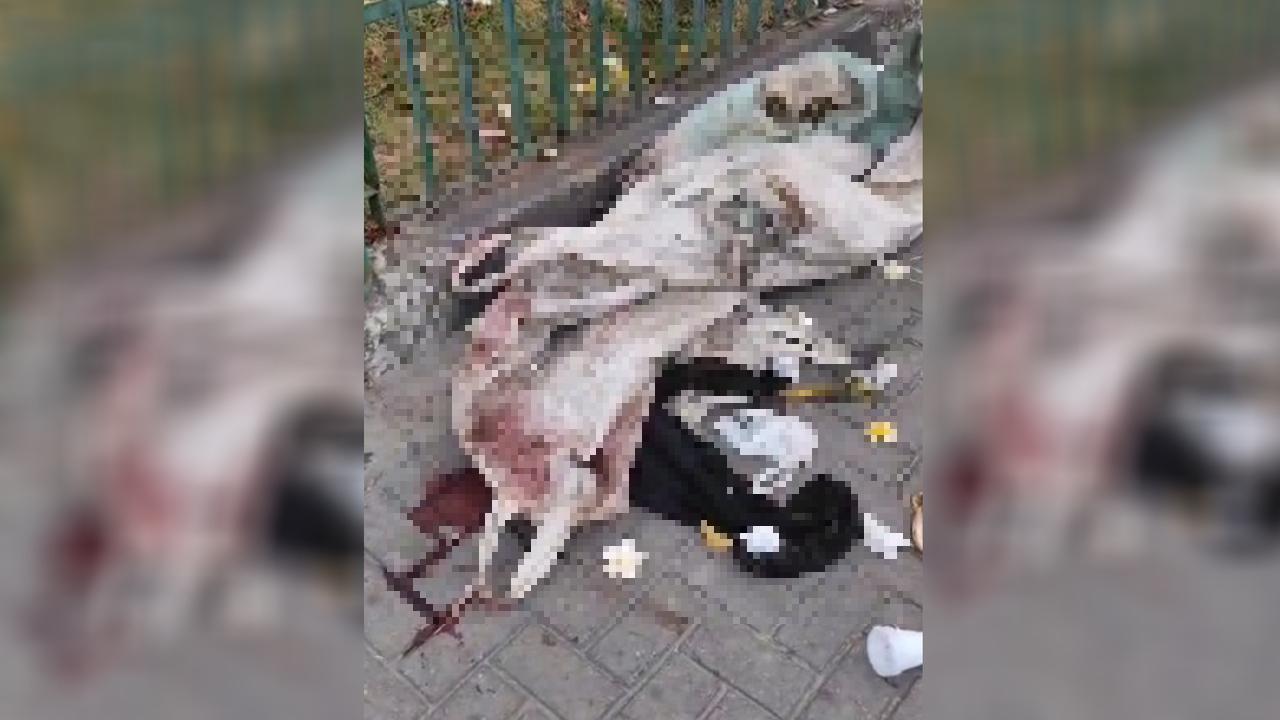 Na foto, sangue no chão, e um saco ensanguentado onde estava o corpo de um homem encontrado nesta madrugada na calçada da catedral de fortaleza.