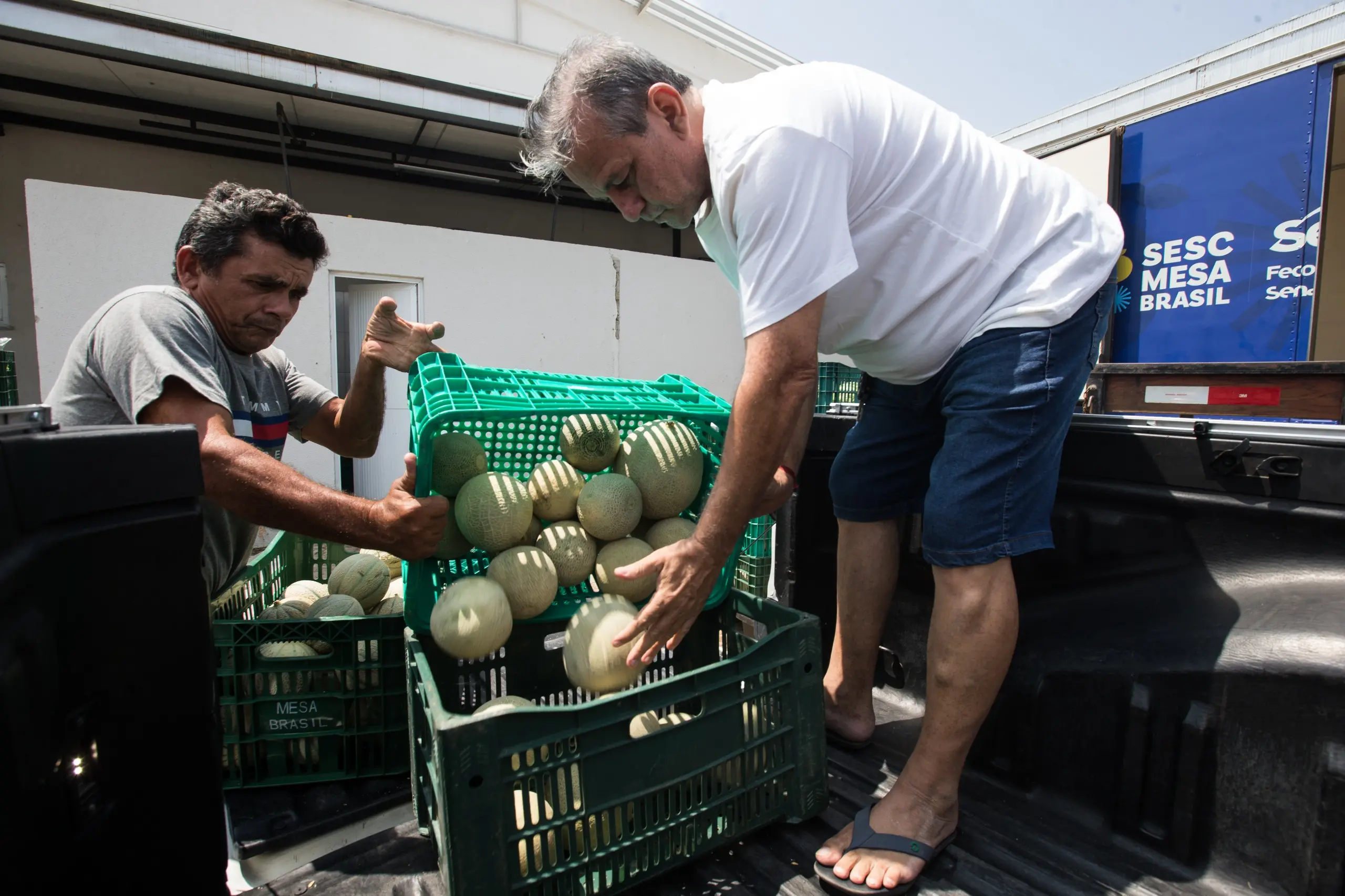 Um homem despeja vários melões dentro de um engradado preto, enquanto outro homem, vestido de blusa branca e bermuda jeans, auxilia.