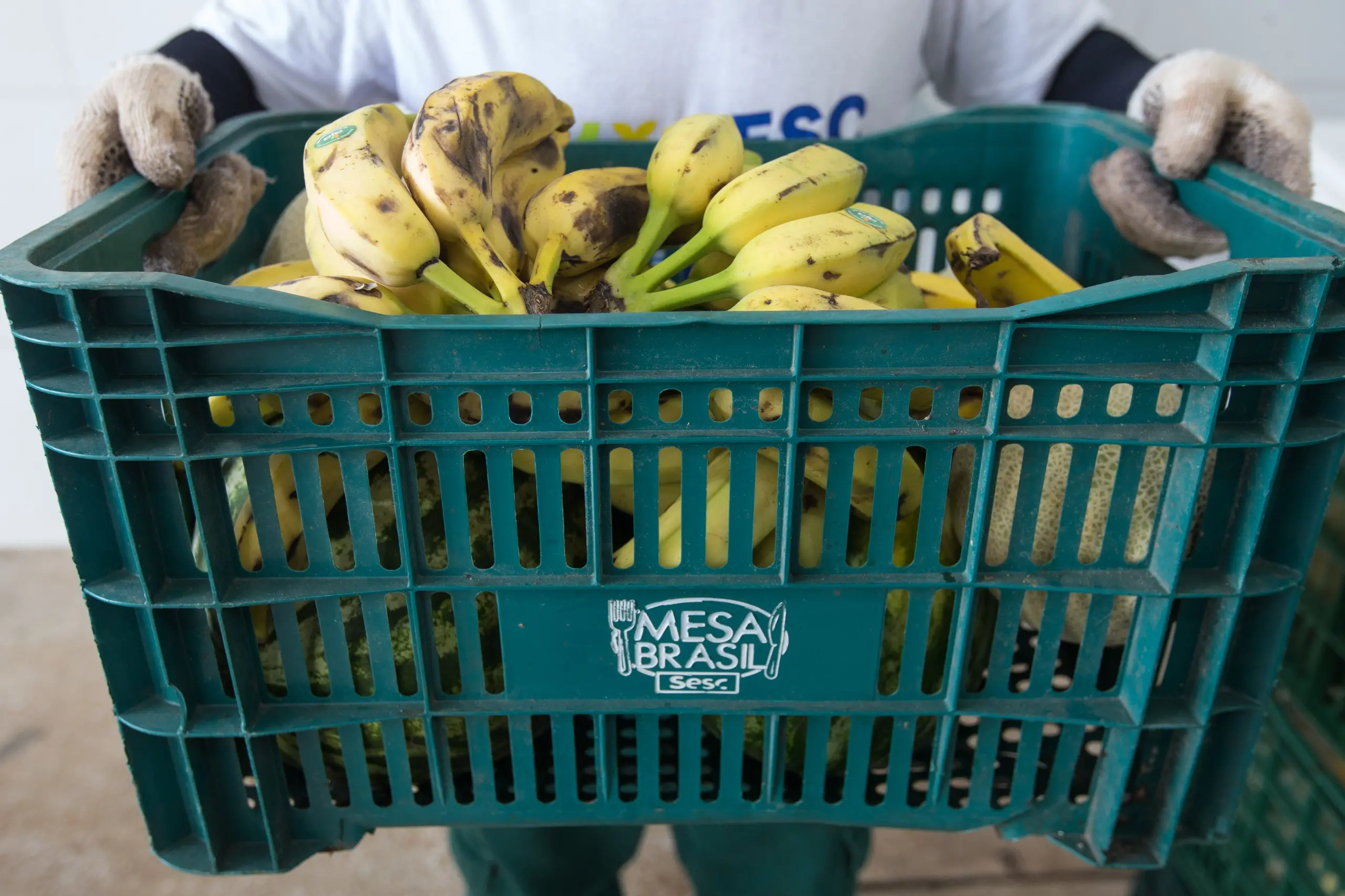 Uma caixa plástica verde com a marca MESA BRASIL Sesc está cheia de bananas maduras e levemente escurecidas. Duas mãos, com luvas de trabalho, seguram a caixa.