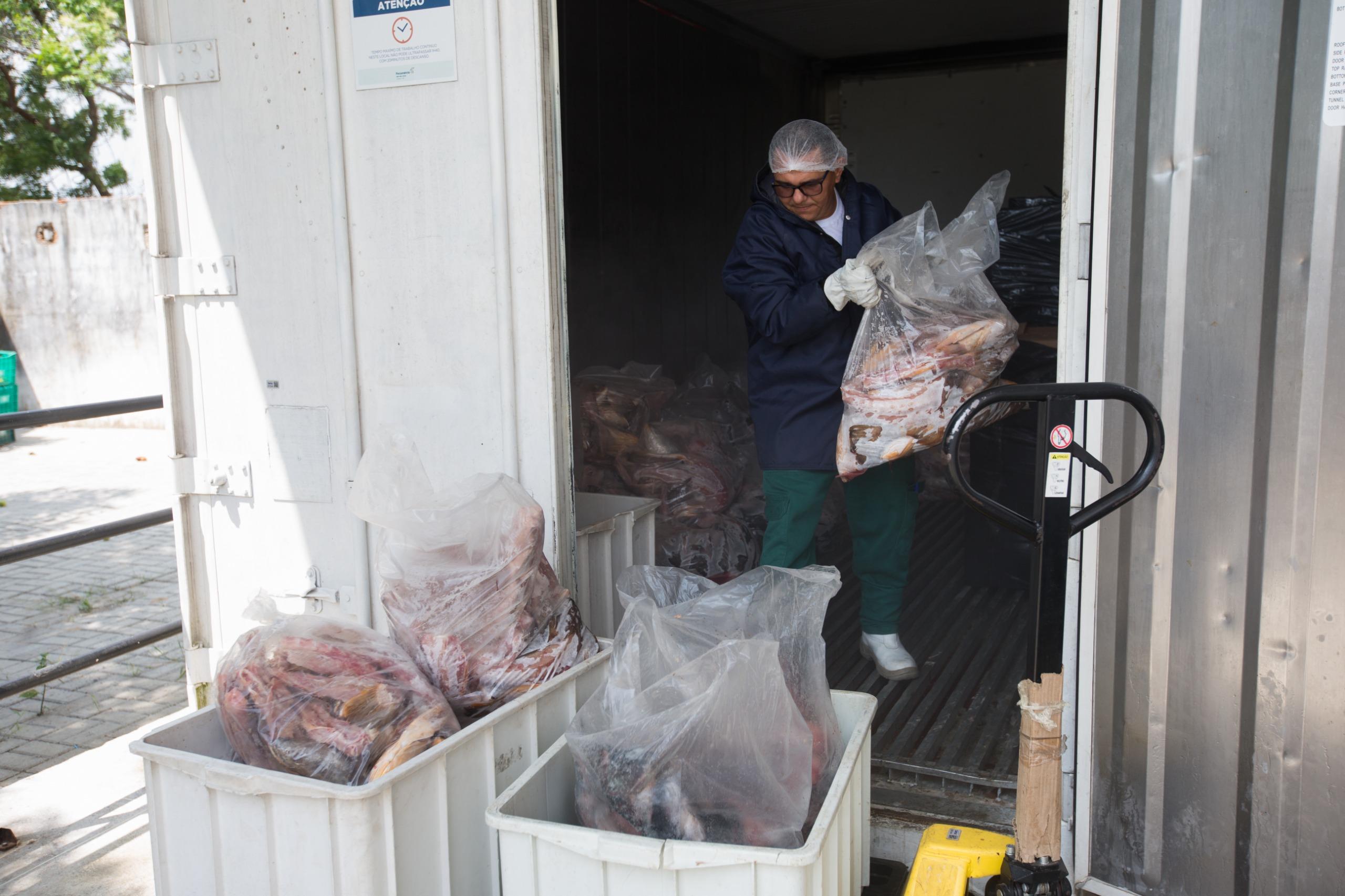 Um homem vestido de touca, luvas e avental está dentro de uma câmara fria carregando sacos de peixe congelado