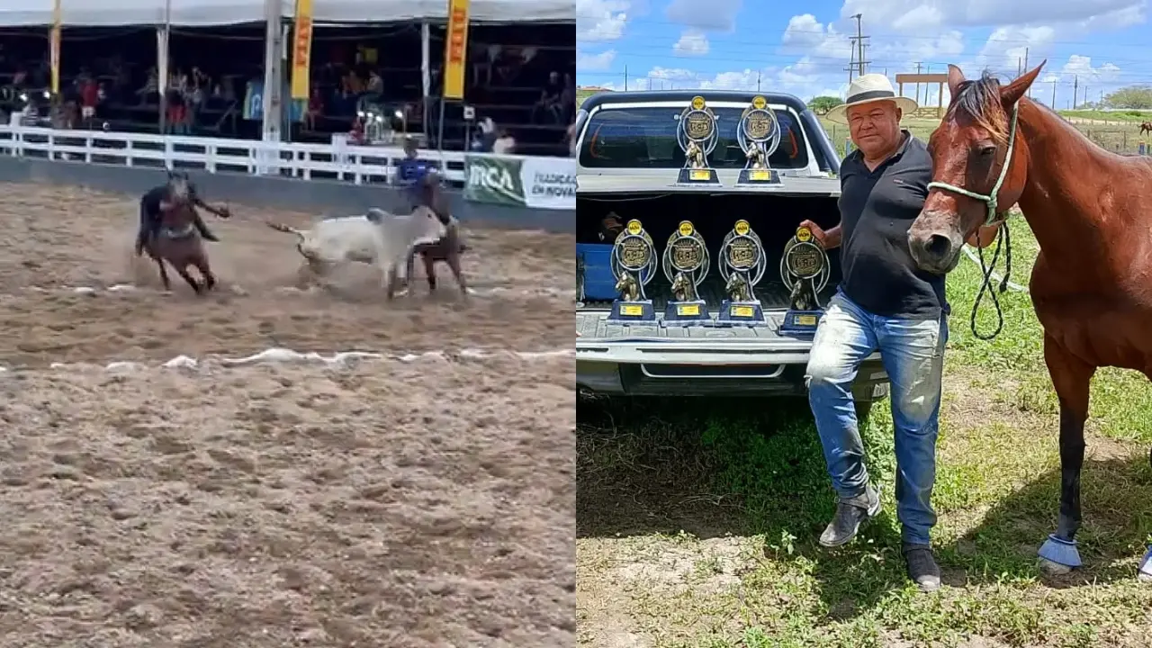 Montagem com duas fotos. À esquerda, cena de uma vaquejada mostra dois vaqueiros montados a cavalo tentando derrubar um boi na pista de areia. À direita, um homem posa ao lado de um cavalo, em frente a uma caminhonete com a caçamba aberta exibindo vários troféus.