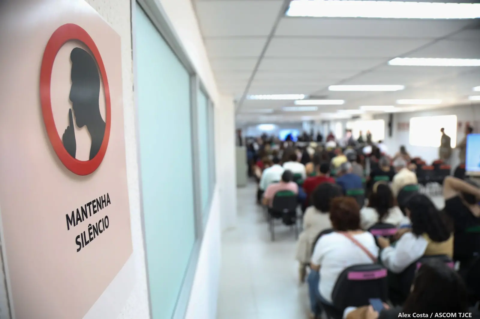 tjce juri curio chacina messejana