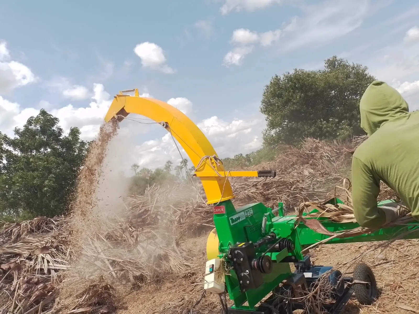 Imagem mostra um trabalhador rural dirigindo uma máquina que processa os talos da carnaúba