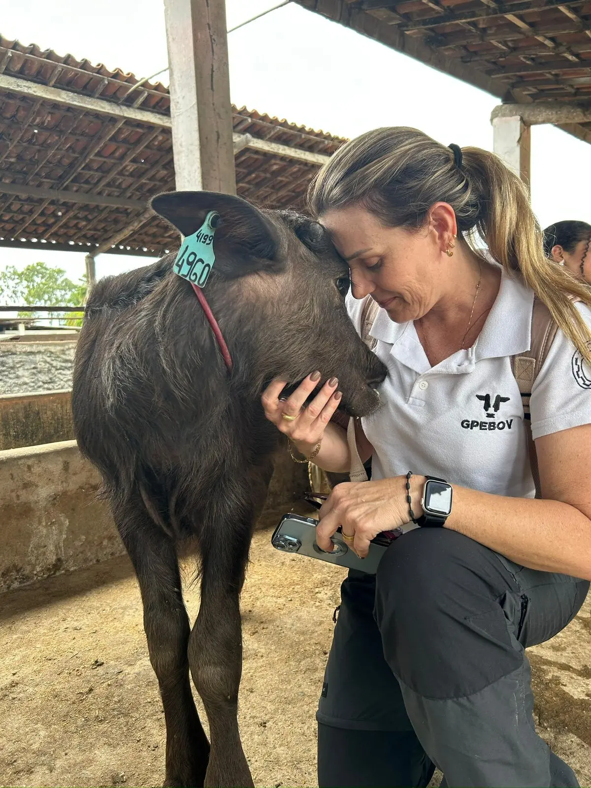 Mulher com a cabeça encostada na cabeça de um bezerro bubalino.