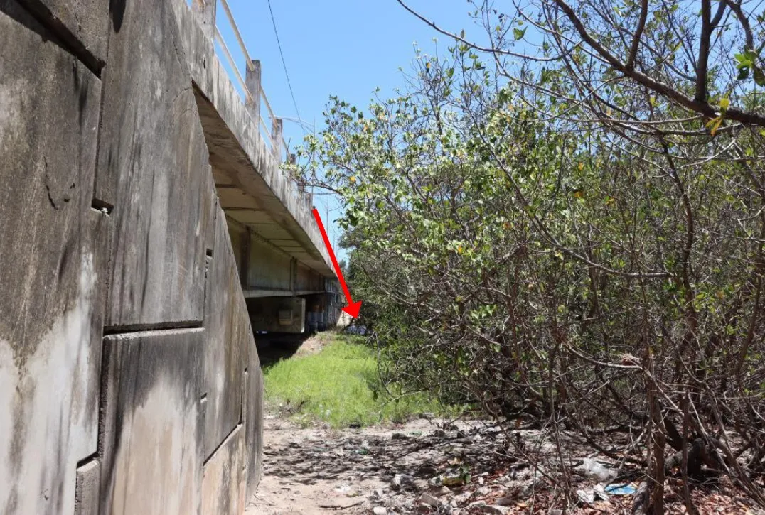 O corpo da vítima Maria Clara Barbosa Ramos, conhecida como ‘Duda’, foi arremessado do alto da Ponte da Sabiaguaba e caiu entre uma área de mangue