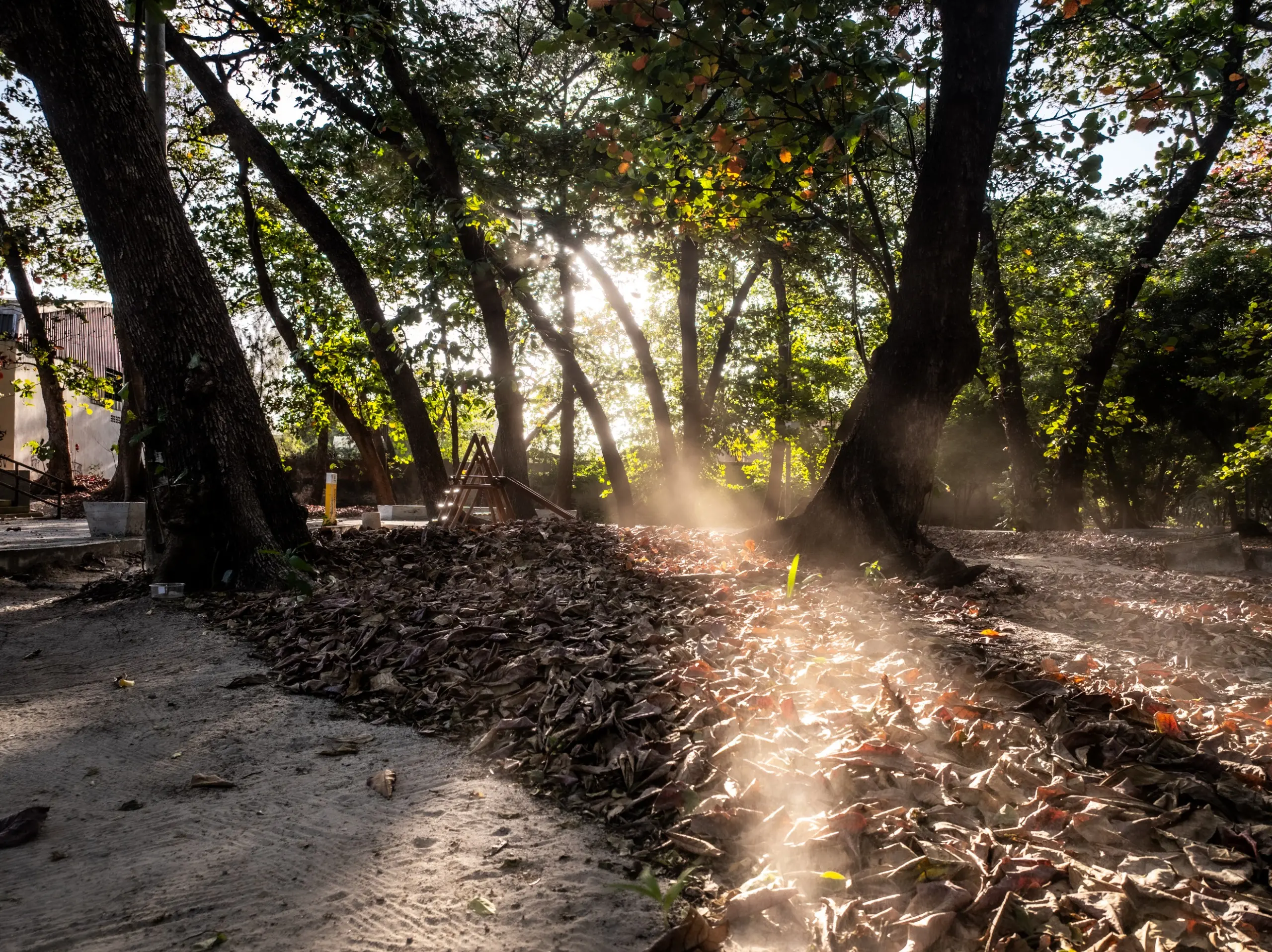 Parque Rio Branco em Fortaleza