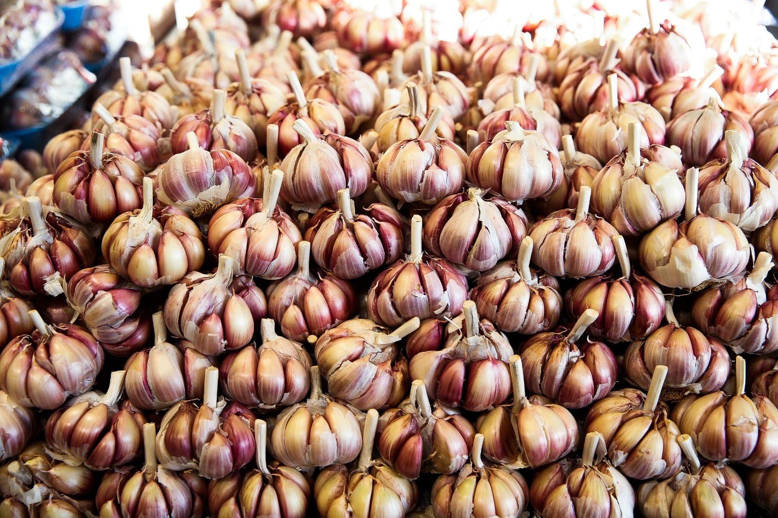 A imagem mostra uma grande quantidade de cabeças de alho empilhadas, com cascas de tons roxos e brancos, dispostas de forma organizada em um mercado ou feira.