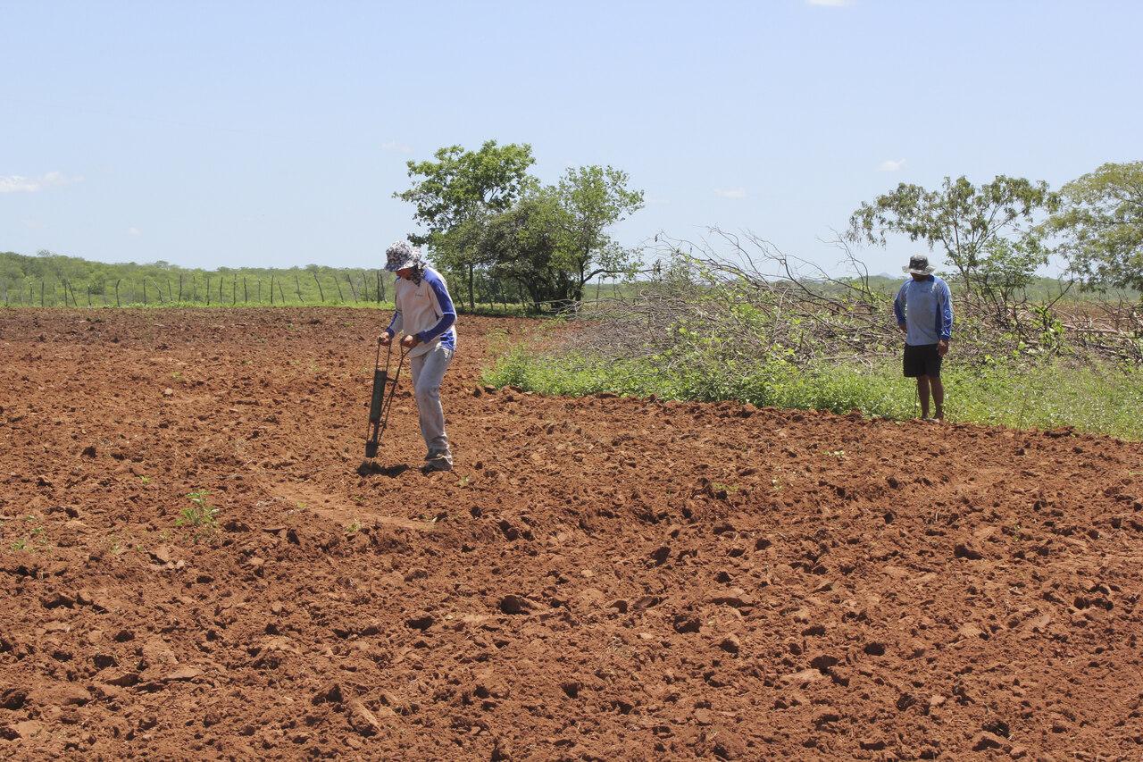Imagem de produtores em cultura agrícola da Coopdest