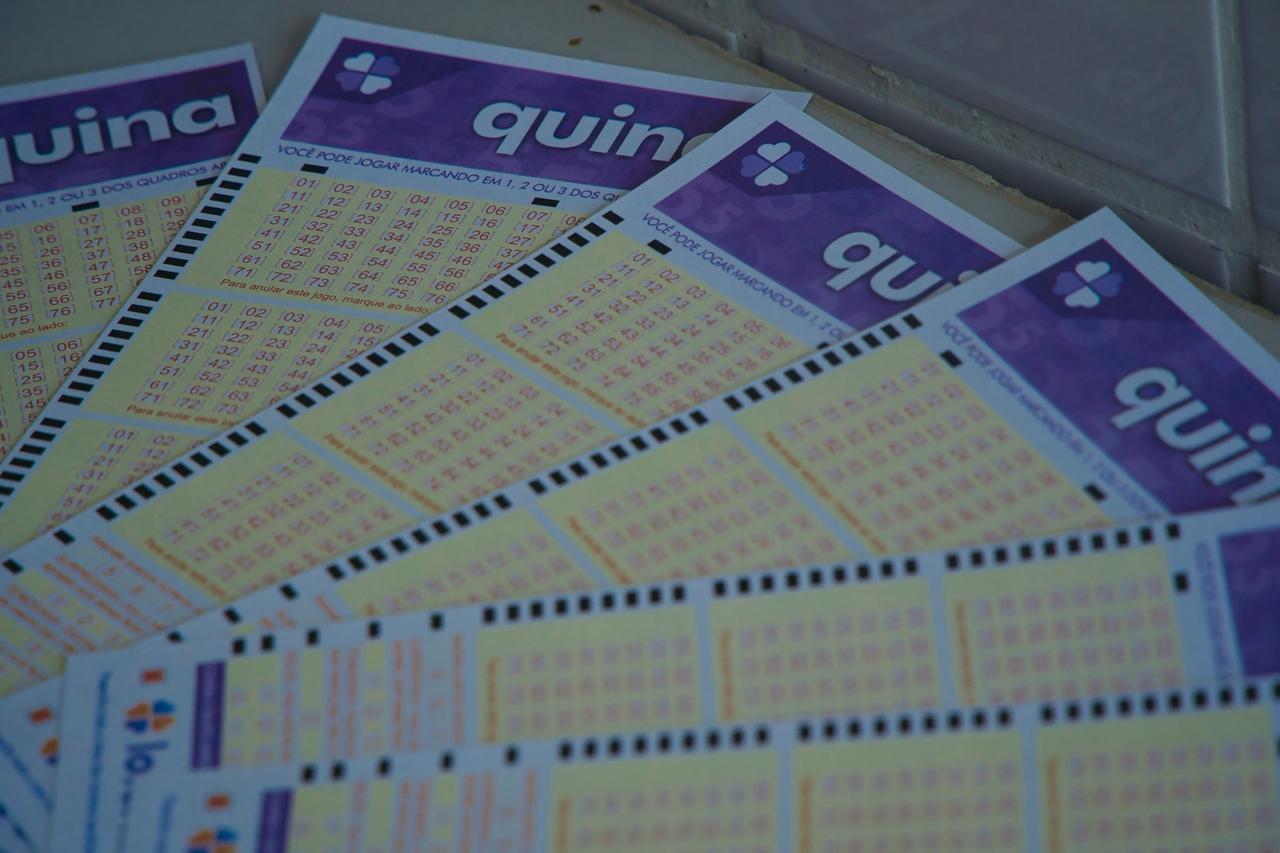 Várias apostas de loteria Quina com os números e detalhes das combinações impressos, prontas para jogar na loteria, em destaque cores roxa e amarela.