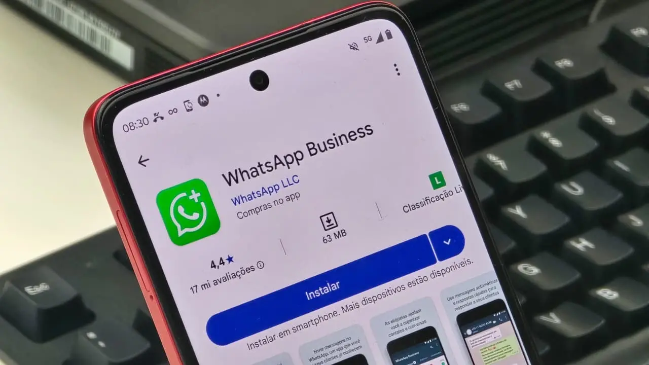 Interface do WhatsApp Business em um celular Android, destacando recursos de comunicação para empresas.