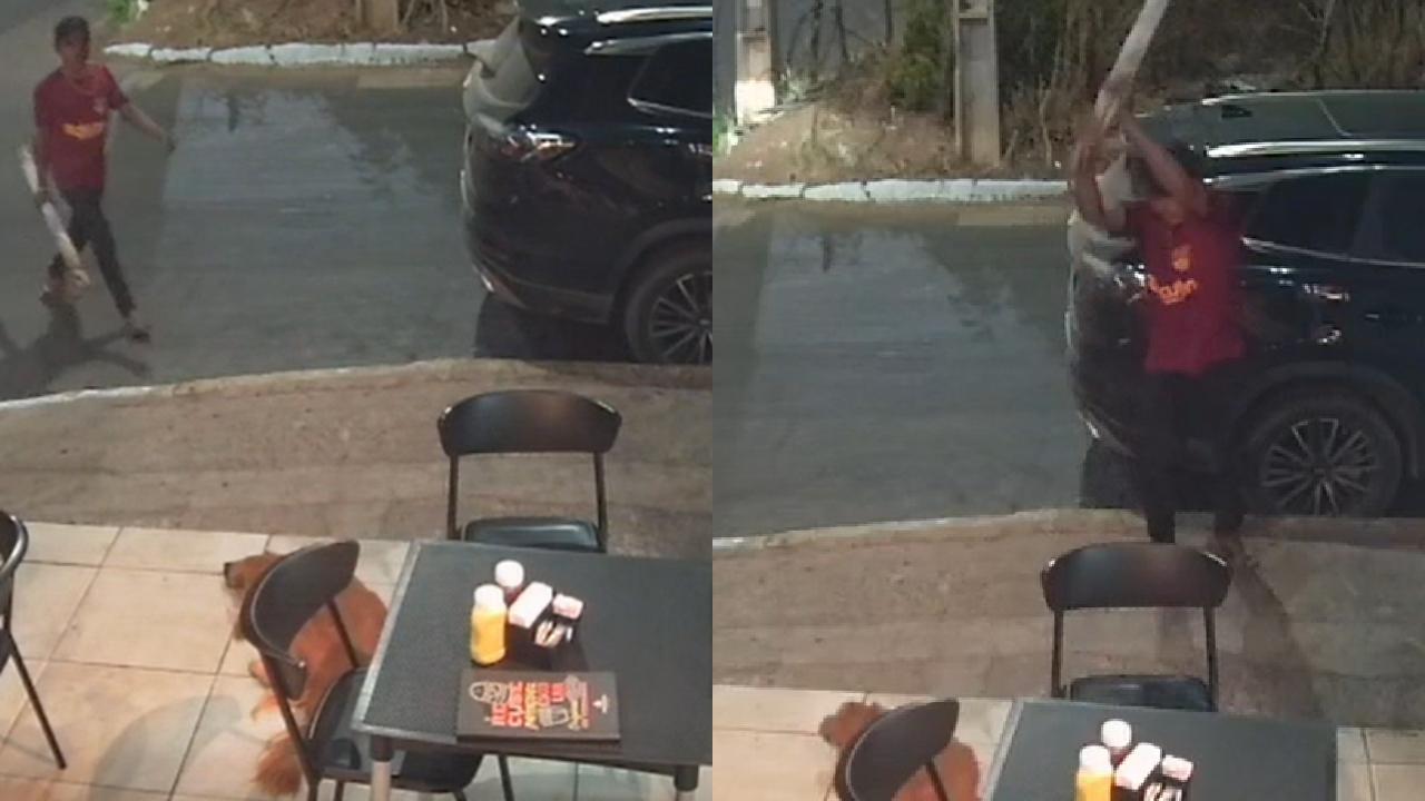 montagem com fotos de reprodução de câmera de segurança que mostram cachorro deitado no chão e homem com pau de madeira, colocado pra cima, em movimento pré-ataque a cachorro.
