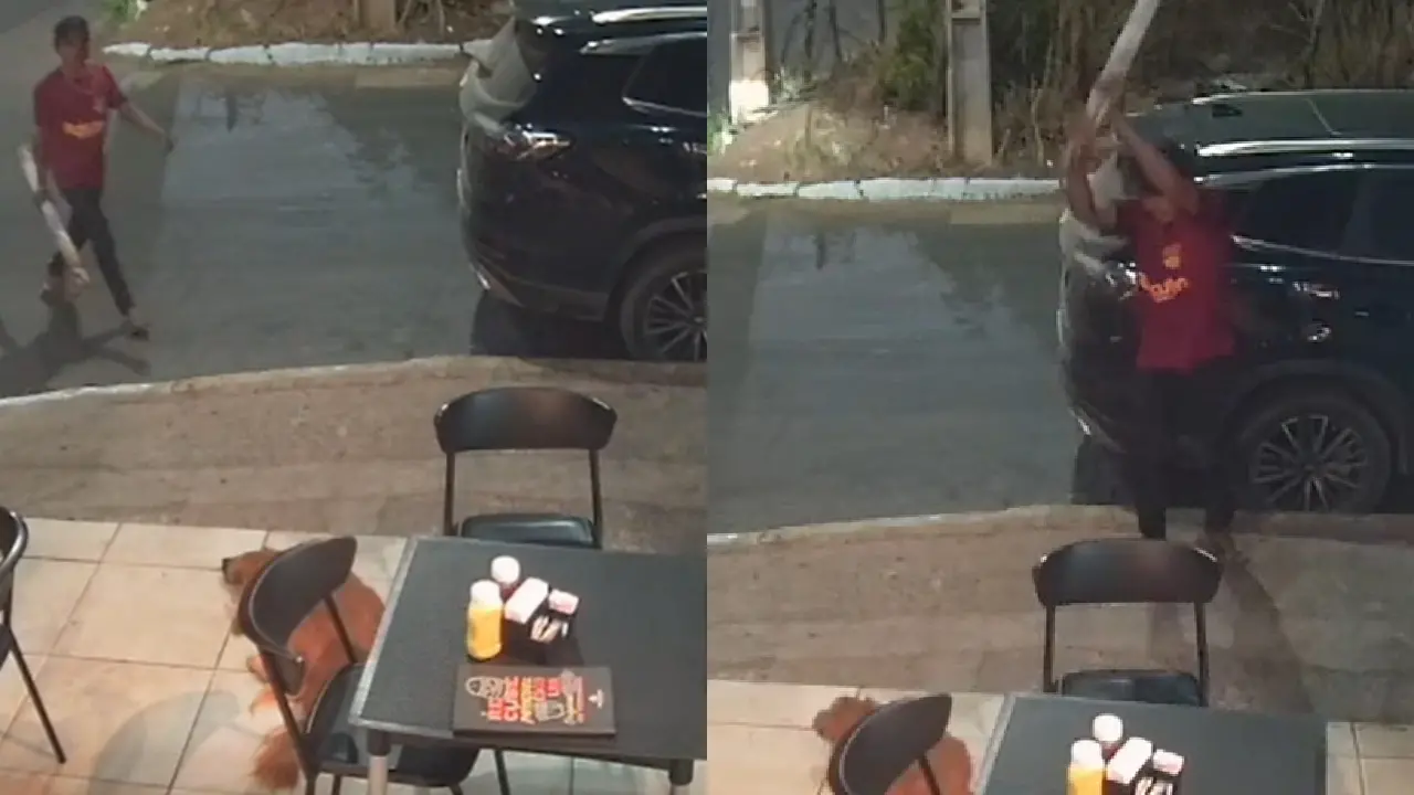 montagem com fotos de reprodução de câmera de segurança que mostram cachorro deitado no chão e homem com pau de madeira, colocado pra cima, em movimento pré-ataque a cachorro.