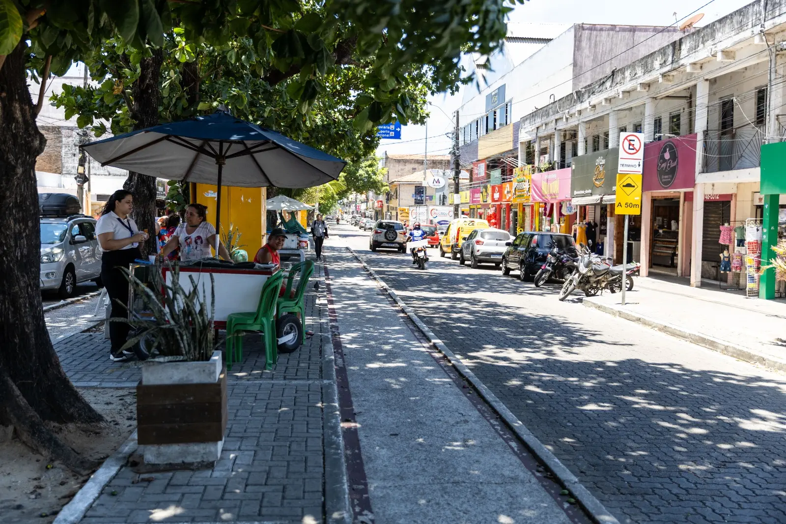 Canteiro central da avenida Mozart Lucena