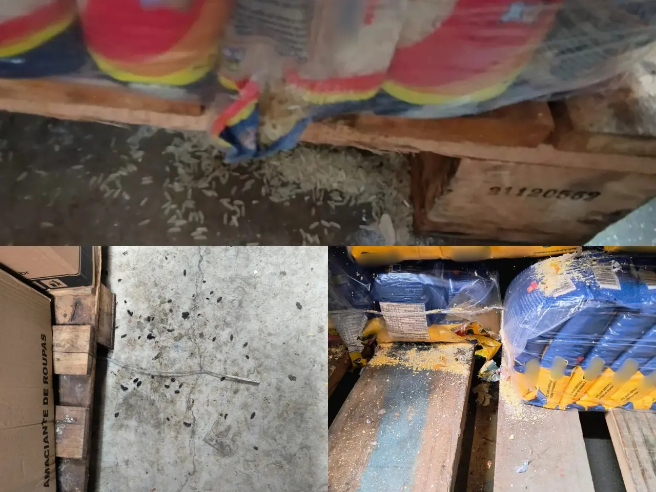 Montagem de fotos que mostra produtos roídos e fezes de roedores em depósito de supermercado de Fortaleza.