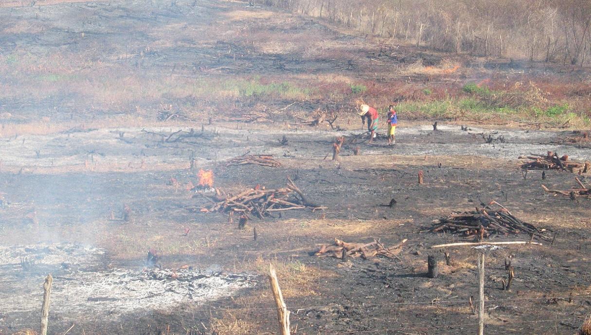 Uma área rural da cidade de Várzea Alegre, no Ceará, aparece queimada, com troncos carbonizados e pequenas labaredas ainda acesas. Duas pessoas estão no centro da imagem, uma delas com chapéu de palha e enxada, aparentando trabalhar no terreno, enquanto a outra observa. O solo está coberto por cinzas e fumaça, indicando recente queimada.