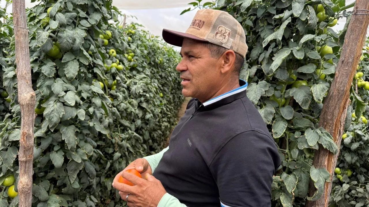 Antônio Novato, produtor rural de Guaraciaba do Norte.