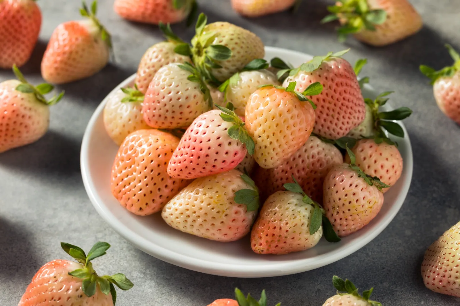 Morango rosa desenvolvido em Atibaia se assemelha com o morango branco, mas é mais caudaloso.