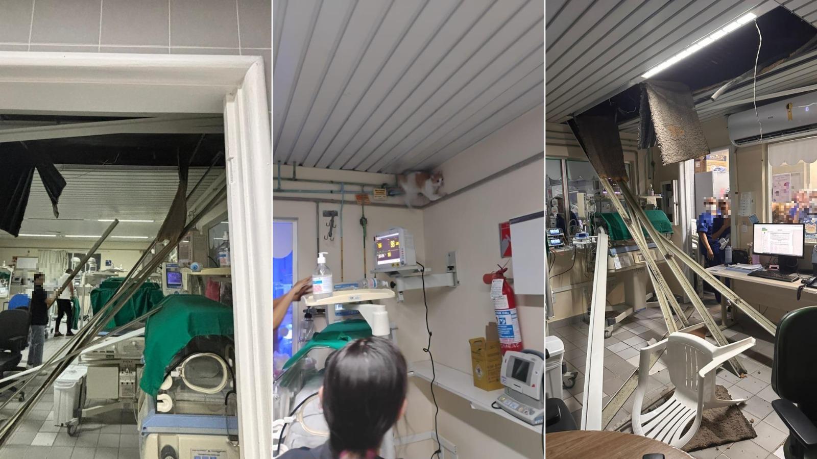 Montagem de três fotos mostra teto que desabou em UTI Neonatal da Meac. Na foto do meio, é possível ver um gato caminhando pelo local.