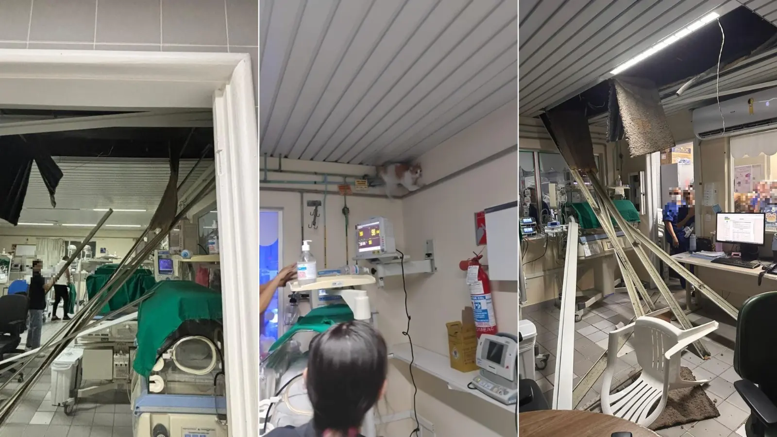 Montagem de três fotos mostra teto que desabou em UTI Neonatal da Meac. Na foto do meio, é possível ver um gato caminhando pelo local.