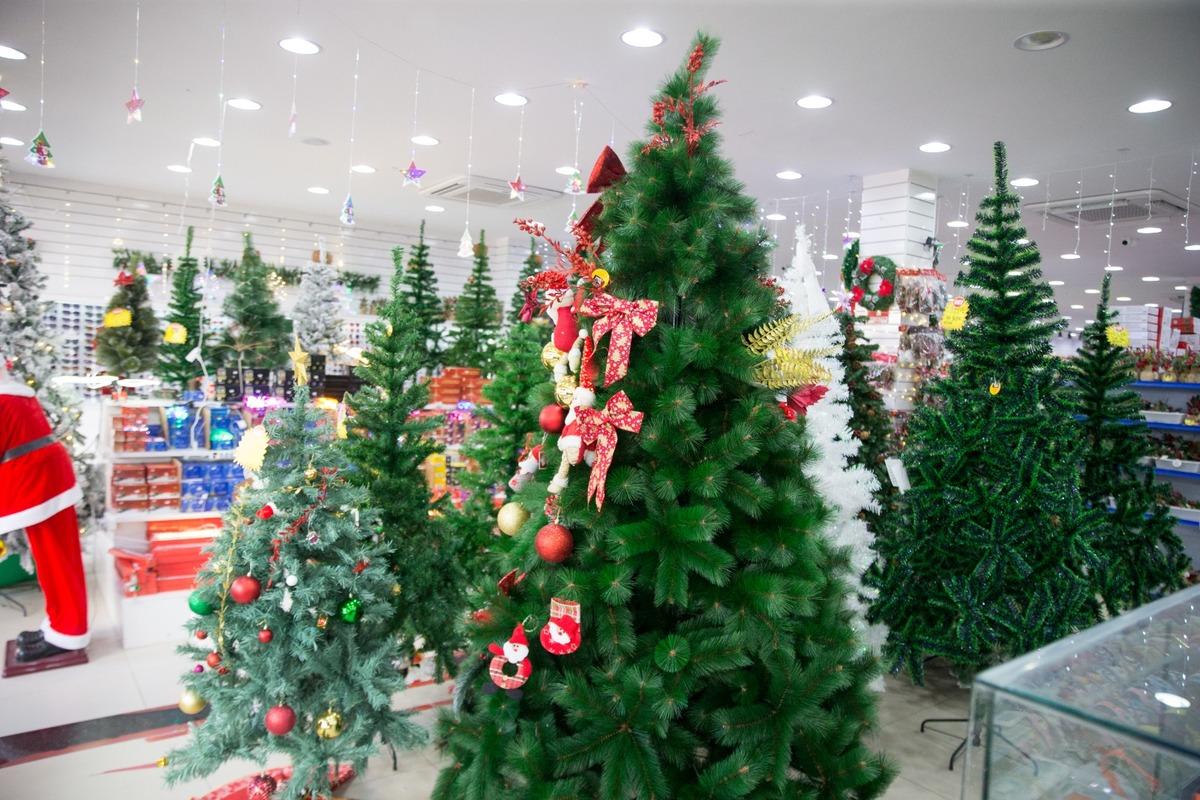 Imagem de uma árvore.