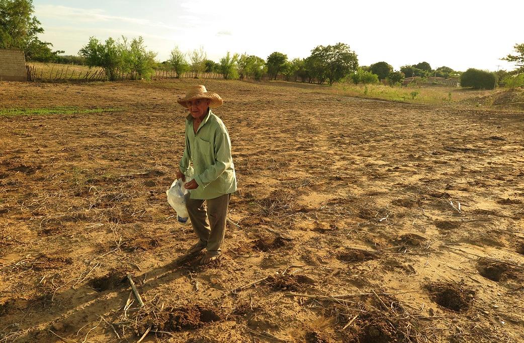 Um agricultor caminha por um terreno seco e arado, sob a luz amarelada do fim da tarde em Iguatu, no Ceará. Ele usa chapéu de palha e camisa comprida, carregando uma sacola plástica. Ao fundo, há árvores esparsas e pequenas construções rurais.