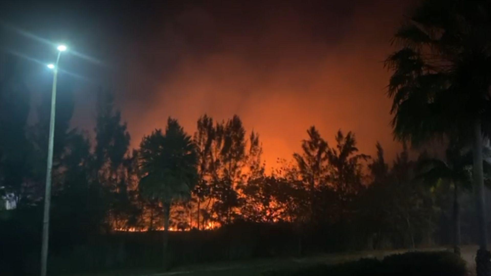 Foto do incêndio na vegetação das proximidades do Hospital Universitário do Ceará.