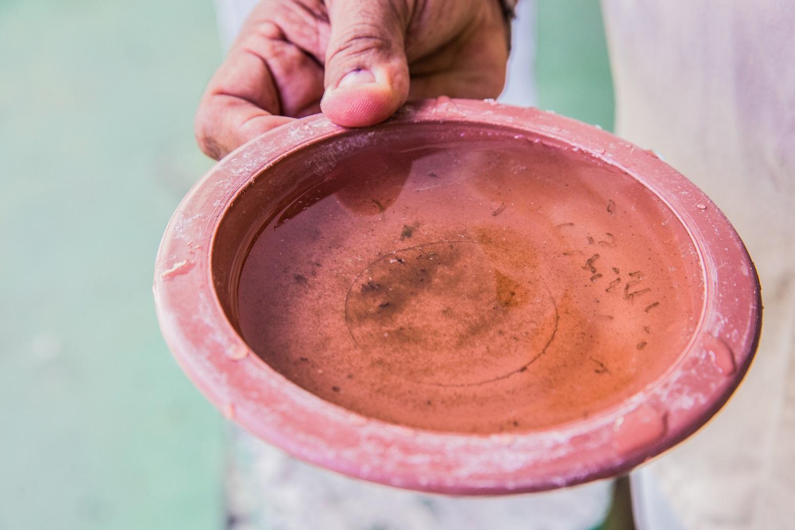Mão de homem segura um recipiente laranja com água parada mostrando larvas do mosquito Aedes aegypti, transmissor de doenças como dengue, zika e chikungunya.