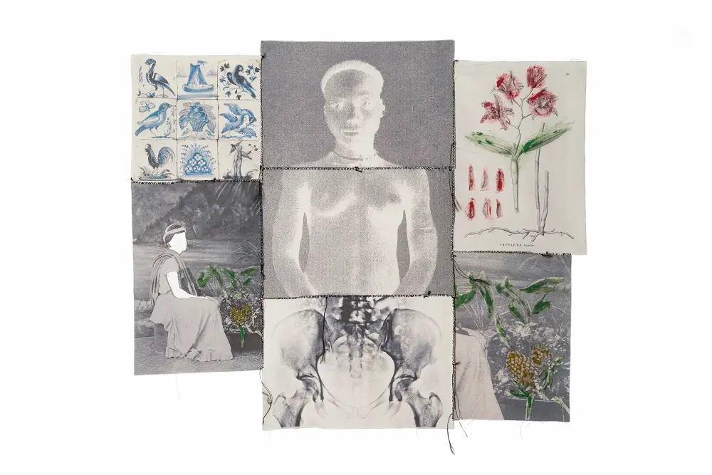 'Paraíso Tropical', de Rosana Paulino.