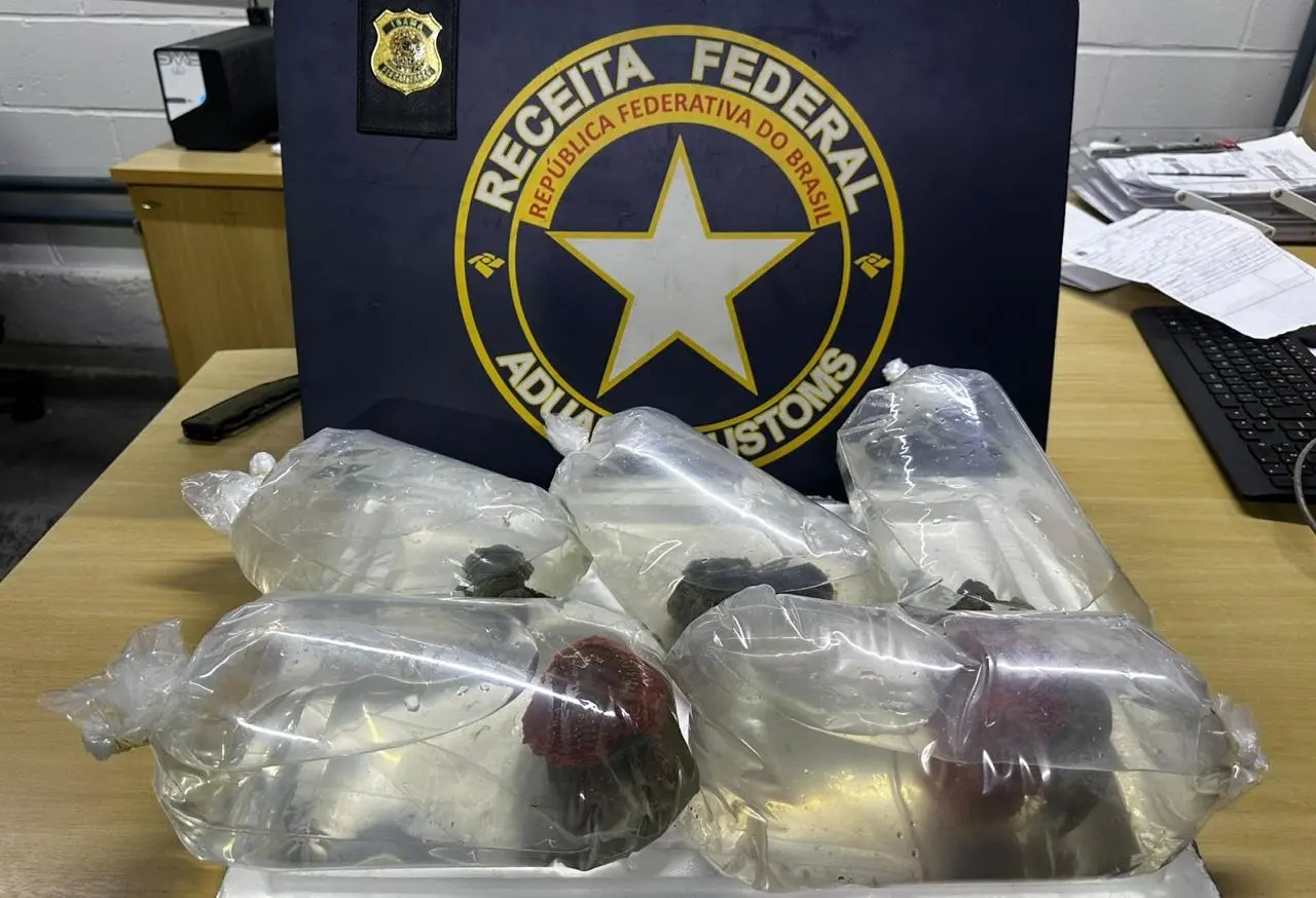 Corais em sacolas plásticas dispostos sobre mesa da Receita Federal.