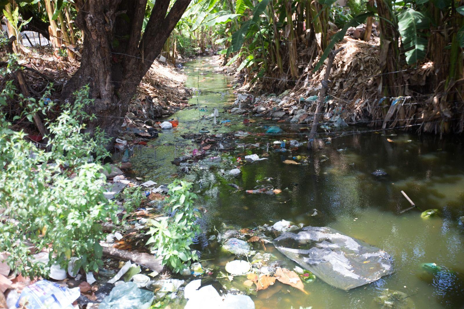 Uma imagem que mostra o Riacho Maceió poluído, cercado por vegetação densa. A superfície da água está coberta por uma grande quantidade de lixo e detritos flutuantes, indicando poluição e descarte inadequado de resíduos.