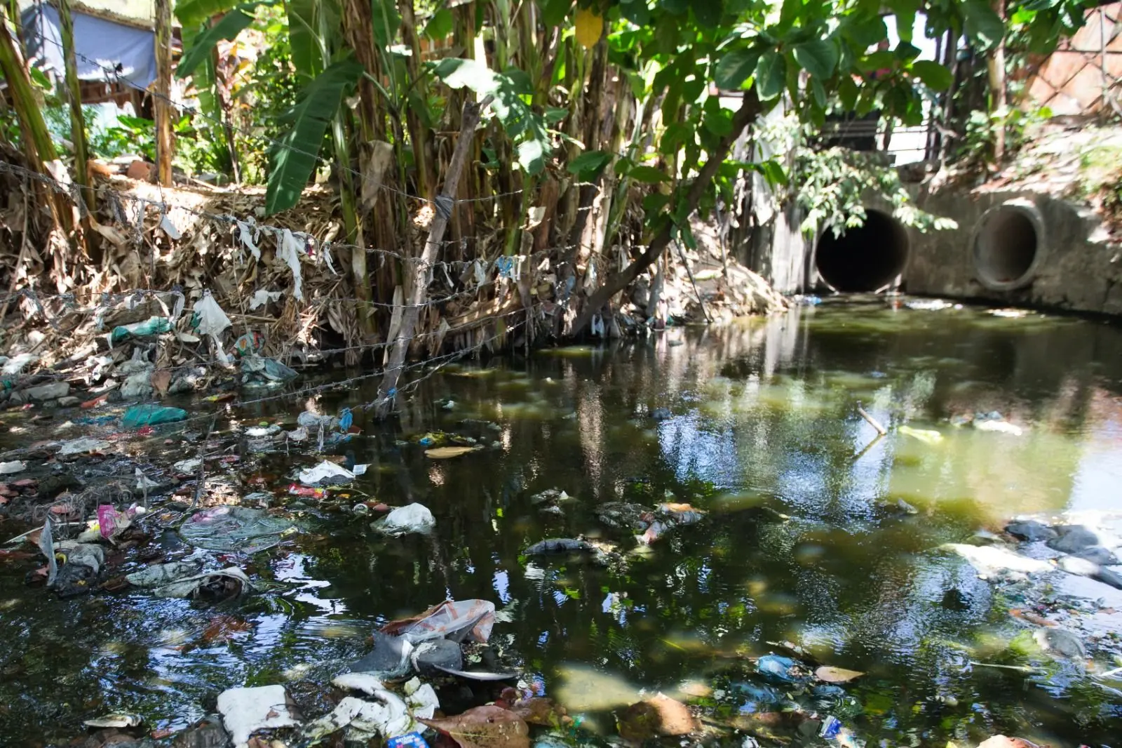 Uma cena que foca na poluição do Riacho Maceió. A água escura reflete a vegetação de bananeiras, e há uma grande quantidade de lixo acumulada ao longo das margens e flutuando na superfície. Ao fundo, tubos de esgoto/drenagem podem ser vistos.
