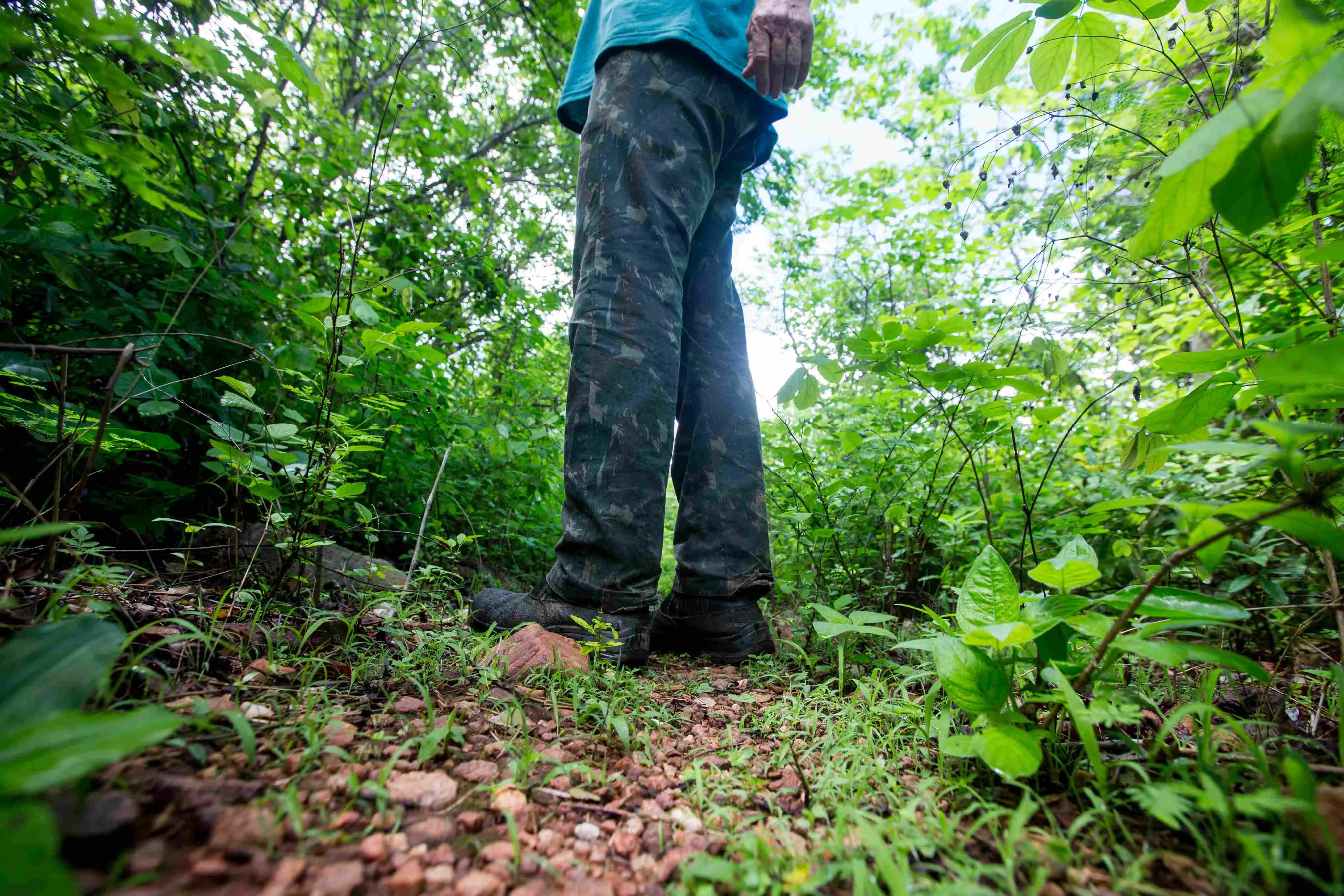 Foto em plano picado de uma pessoa de pé em uma trilha de terra e pedras em uma floresta ou mata densa. A pessoa usa uma camiseta azul e calças camufladas em tons escuros e botas. A vegetação verde exuberante circunda o chão e se estende até o céu, que está levemente visível.