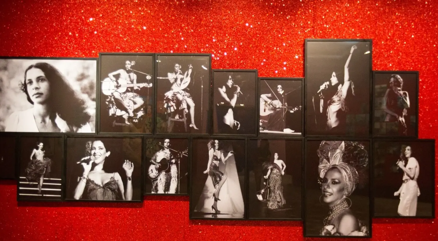 Fotos de Gal Costa compõem um dos núcleos da mostra.