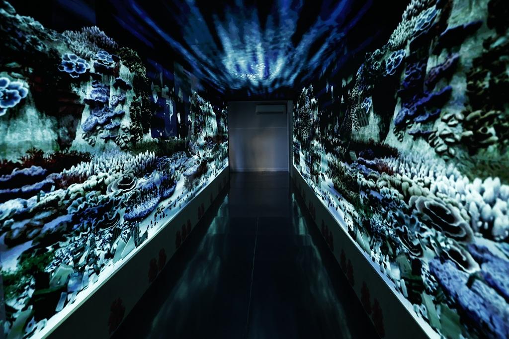 Imagens do Oceano dentro da exposição imersiva
